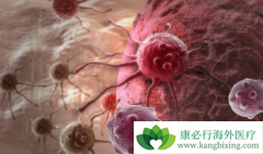 ���������������������������Щ���֣�