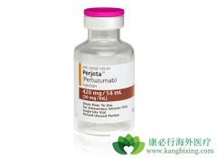 �����鵥�������п�����HER-2�������ٰ����Ƶ�˫��ʱ��