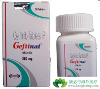 ��Ƥ���������������Ƽ�����ɳ(Iressa)���µ�Ƥ��������Ӧ����Щ��