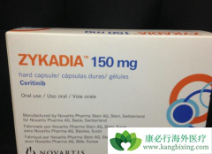 ALK���Ƽ������������׸����й����еĵڶ���ALK���Ƽ�