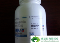 ���������м����汾��Zytiga���ĸ���˾�����ģ�