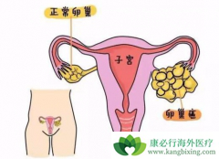 ����ҽ���̵������ѳ������Ƶİ���ҩ�ﶼ����Щ