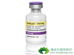 HER2�������ٰ�ʹ��T-DM1���Ƶ�Ч����ô����