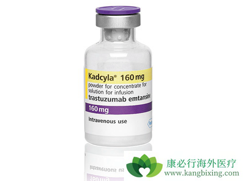 T-DM1