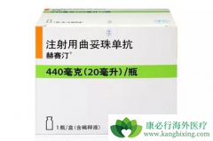 ���ٰ�ҩ�������鵥��(Herceptin)�����Ʒ���