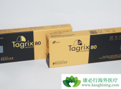 ������EGFR-TKI��ϣ������ҩ������ӳ����������ڣ�