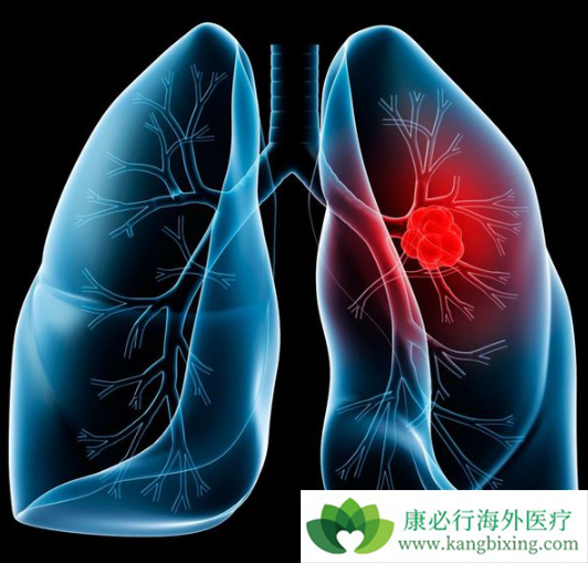 达克替尼 达克替尼