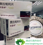 Ŀǰ�������������е�����PARP���Ƽ���ʲô����