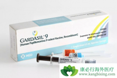 HPV�����еļ���ʲô��˼��HPV�������Ԥ����֢��