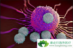 ����֬���������Ƴ��˴￨��ົ���ʲô��