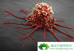 �������������������������������Ʒ�������Щ��ͬ��