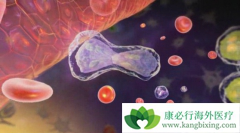 ������ϵ��Ѫ��֢״������Щ��