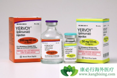 ���߼������Ƽ��������ƿ������ڸΰ�������