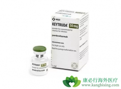 ��ķ����(Keytruda)�����Խ�������ʹ����ƽ�������ڷ���