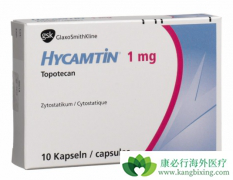 ���ڹ��������߿���ʹ��˳�����������濵����