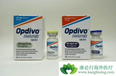 ���䵥��(nivolumab)��ҩ�����ɴ�ÿ����һ�θ�Ϊÿ��һ��