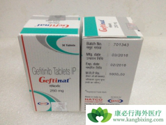 ӡ������ɳ�۸���͵���ҩƷ�����ϲ�δ͵������