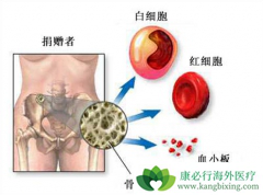 ��Ѫ��������ֲ����������������ЩΣ����