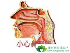 �յ���������ͬ�ڷŻ��ƿ�������߱��ʰ������