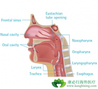 �������ʰ����Ʒ���������Щ��