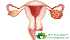 �ѳ�������Ӧע��ʲô���ѳ���ά�����Ʋ�����ʲô��