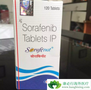 ������ı����������/�����������Ʒ�Ӧ��Ԥ��