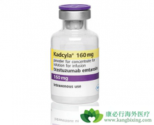 T-DM1������HER-2�������ٰ����ߵ�Ч������