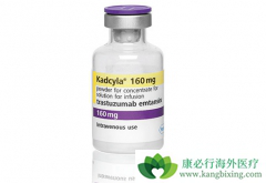 T-DM1��������HER-2�������ٰ�����Ч��ô����