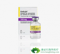 T-DM1����HER-2�����������ٰ����ߵ�����Ч����ô����