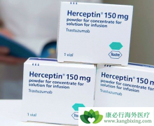 �����鵥�������ٰ���HER-2���Ƶ��ذ�ҩ��֮һ