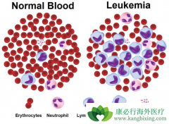 ��Ѫ�����κ�����ҩ�ڼ�Ӧע��ʲô��