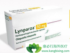 ���������ǹ��ڵ�һ���׼���е��ѳ���PARP���Ƽ�ҩ��