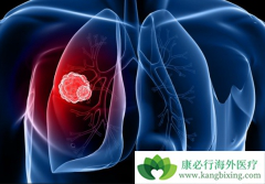 �������ΰ����κ����������Ʒΰ���ʲô���ƣ�