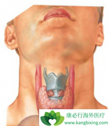 ��״��������ʲô֢״��һ�����ʲô���Ʒ�����