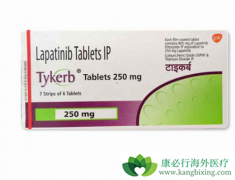 ������������HER2�������ٰ���������ҩ�ﻹ��ʲô��