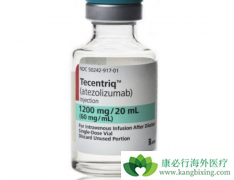 �����Ʒ�PD-L1���������������ٰ����ߵ�������