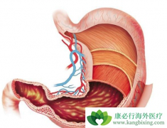 θ����ת�ƻ��߿��Խ�����ǰ������