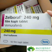 ���޷���(vemurafenib)��������ëϸ����Ѫ�����ڶ̰�ȫ�Ժ�