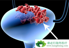 �ҹ����԰��װ��ķ����ʸ���