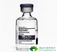 ���ڷΰ�����Ŀǰ����ʹ��PD-1���Ƽ�Kҩ������