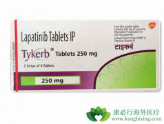 ��HER2����ҩ�����������������θ����