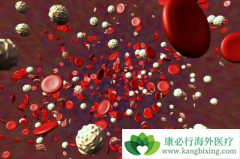 ������CAR-T���ƹ����е�ϸ�����ӷ籩��