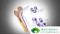 ��Ϊ�෢�Թ�����֢״֮һ��ƶѪ����ԭ����ʲô�����Ʒ�������Щ��