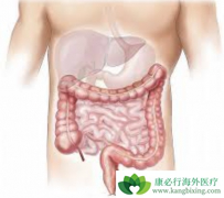 �������ƽ᳦������EGFRΪ�е��ҩ������Щ��