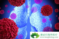 ����᲼���й��ط��Է���ά��������Ч����