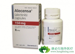 ���������ĵڶ���ALK���Ƽ������������Ч��ô����