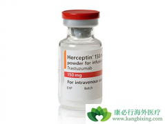 HER-2�������ٰ������������ٰ��ĸ��������ƣ�