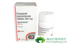 ���������������������߻�ѡ��ʹ����������(Votrient)