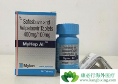 ӡ�ȼ�������Ŀǰ��õı��ε����Ʒ�����