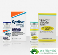 ���߼������Ƽ��������Ʒ��ĸ���������Щ��